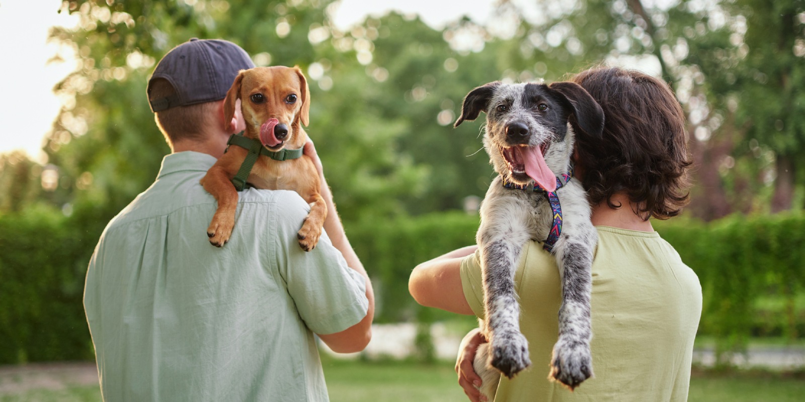 🚀 Listen to the new series What Have the Ulster-Scots Ever Done for Us? on  BBC Sounds | BBC Radio Ulster | Facebook, image size:1600x800